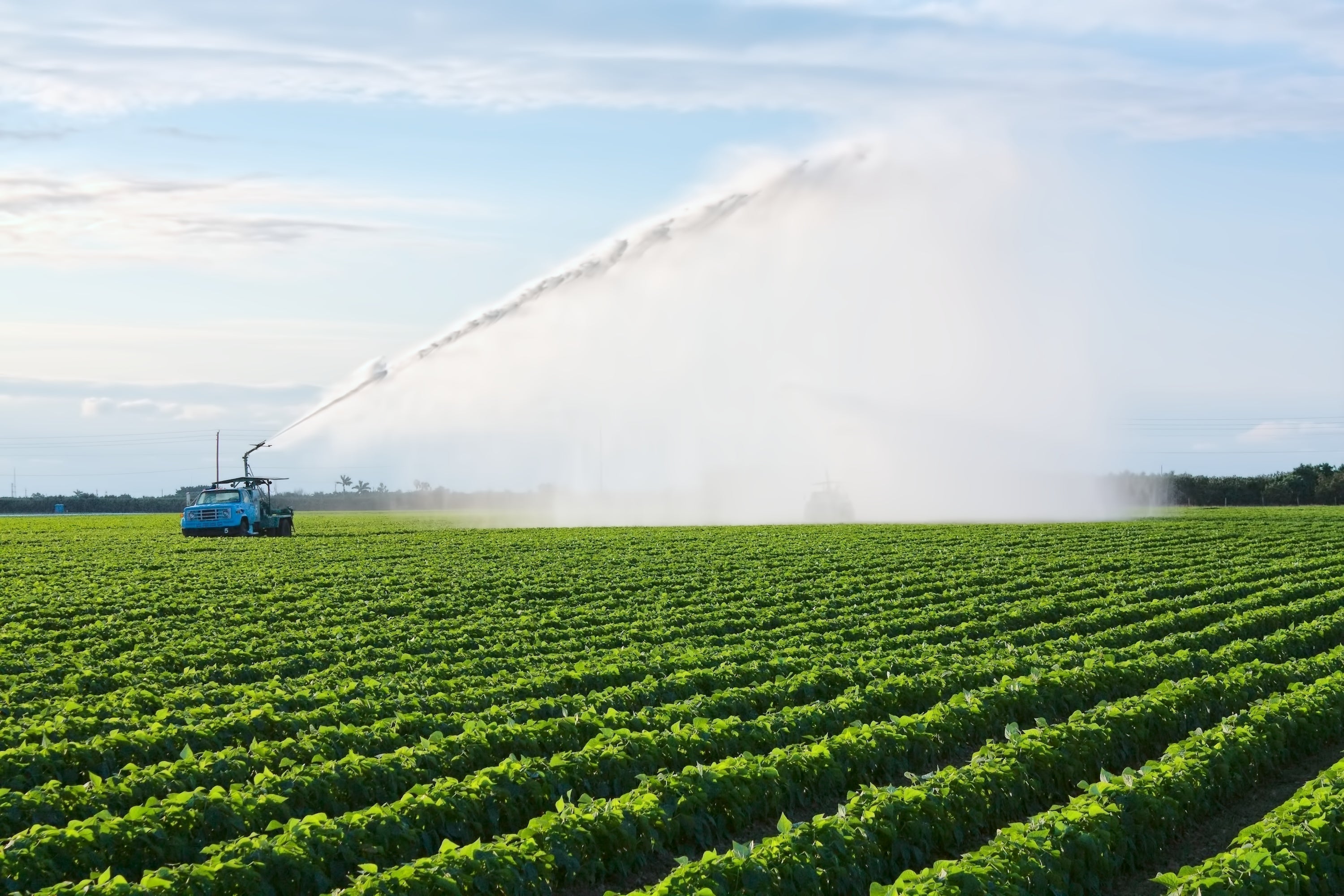 A green agricultural field with a tractor spraying water from a large sprinkler that shoots high into the blue sky with light clouds.