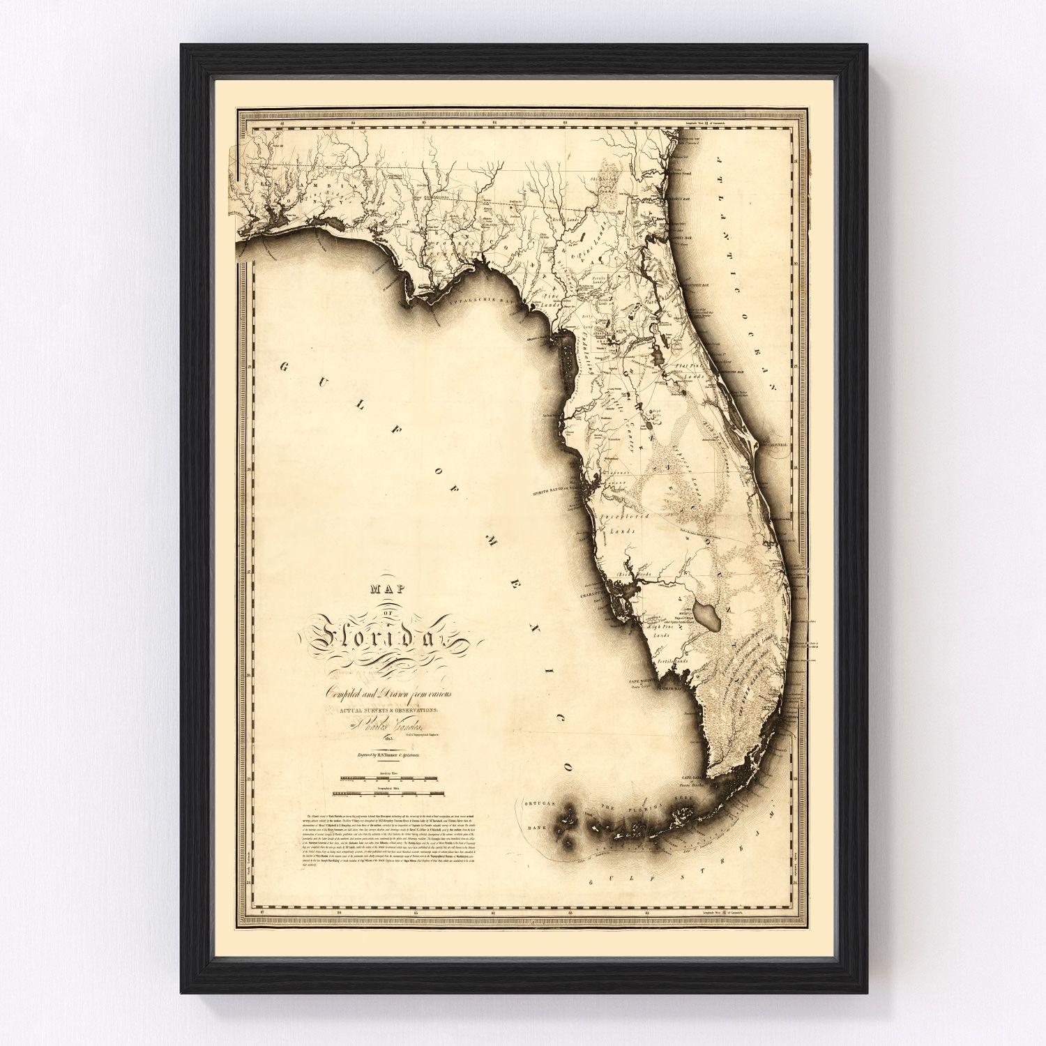Framed vintage-style map of Florida on a white wall.