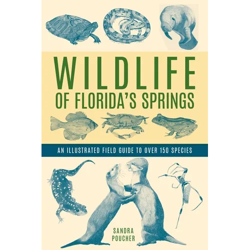 Book cover of 'Wildlife of Florida's Springs: An Illustrated Field Guide to Over 150 Species' by Sandra Poucher, featuring blue-toned illustrations of Florida spring animals on a pale cream background with green title text.